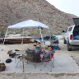 Meet your Posher, Zoey